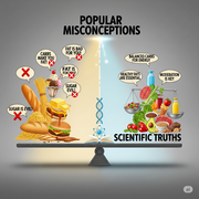 A seesaw-style image visually contrasting "Popular Misconceptions" about carbs, fat, and sugar with "Scientific Truths" supported by an open book of evidence.